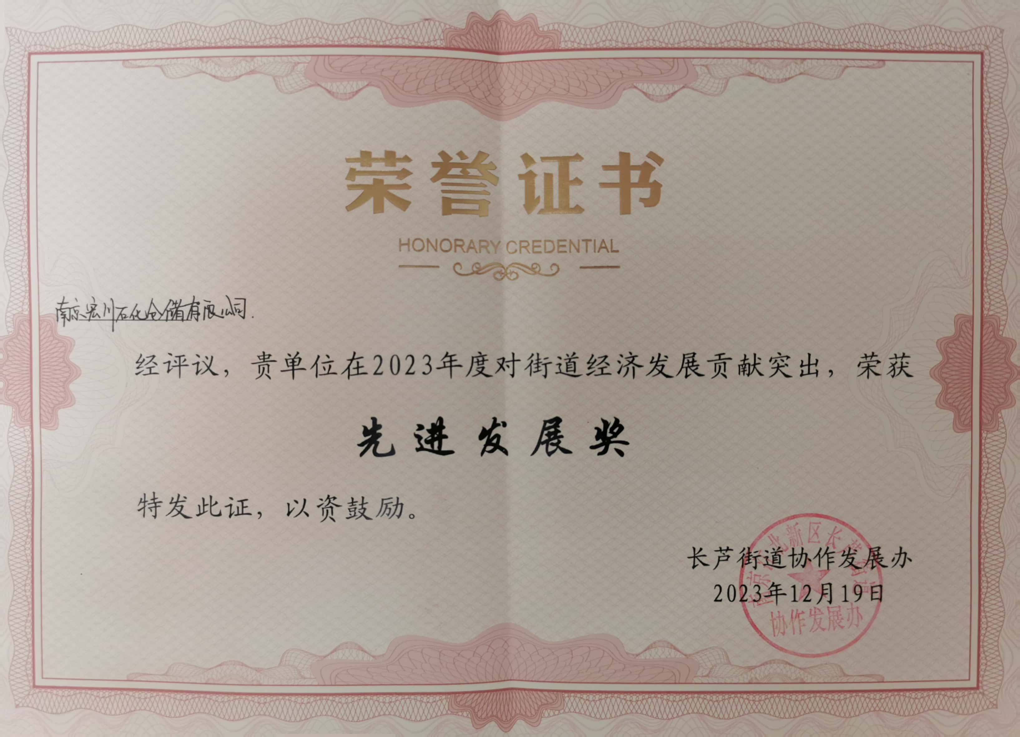 南京宏川荣获先进发展奖.jpg