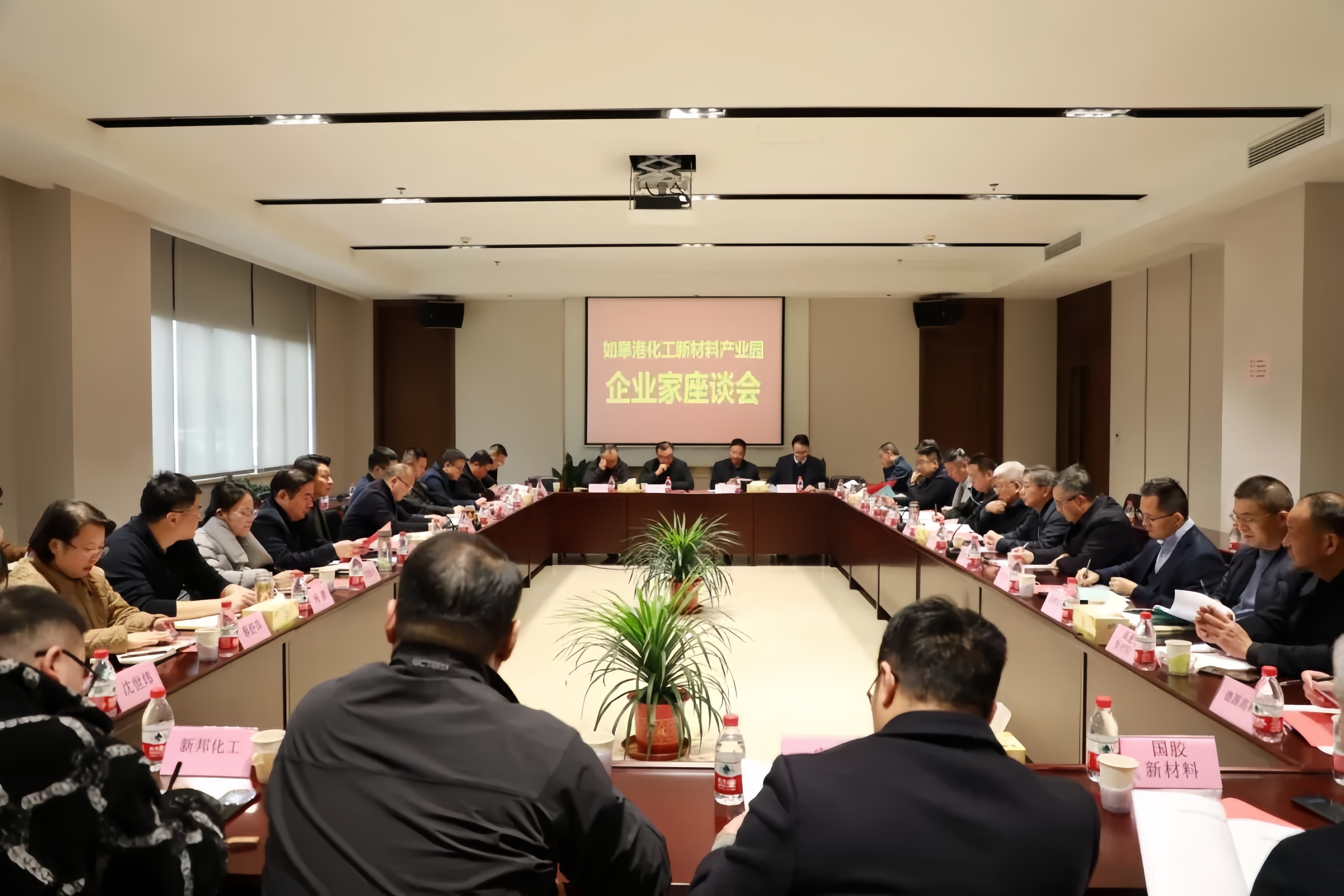 20250313南通基地董事长王健受邀参加如皋港化工新材料产业园企业家座谈会 (1)_副本.jpg